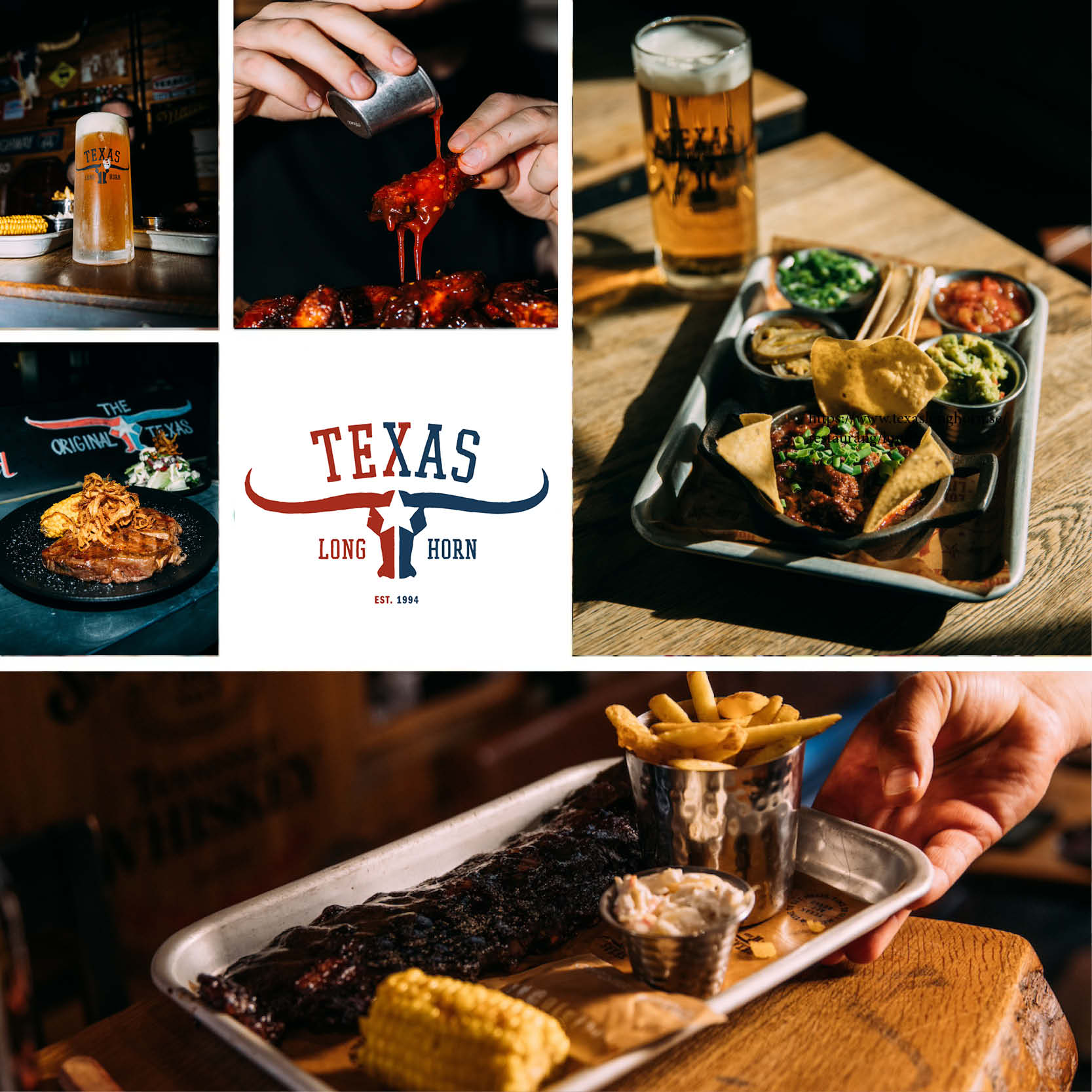 Texas Longhorn